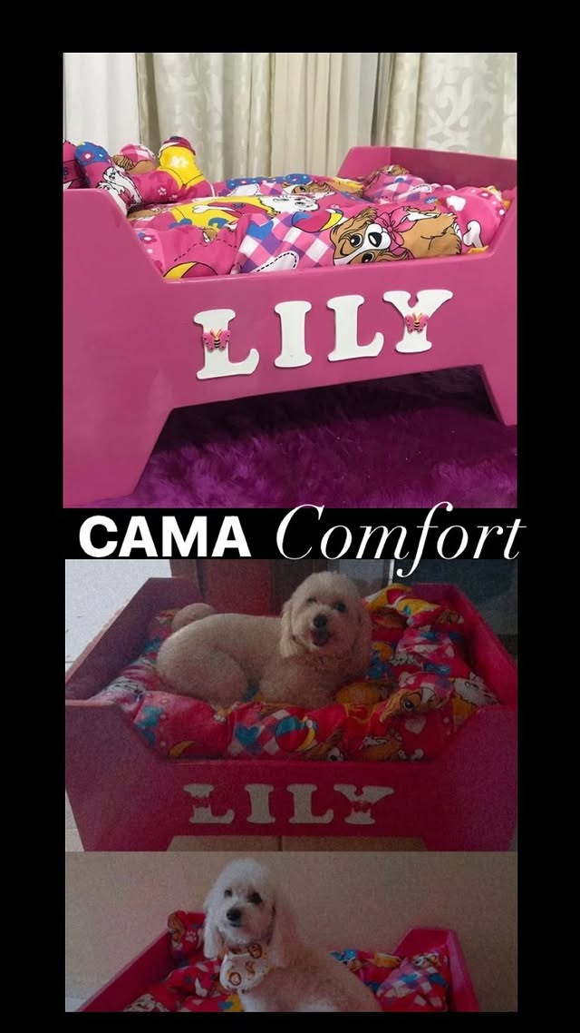 Cama Confort